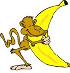 Monkey holding a huge banana