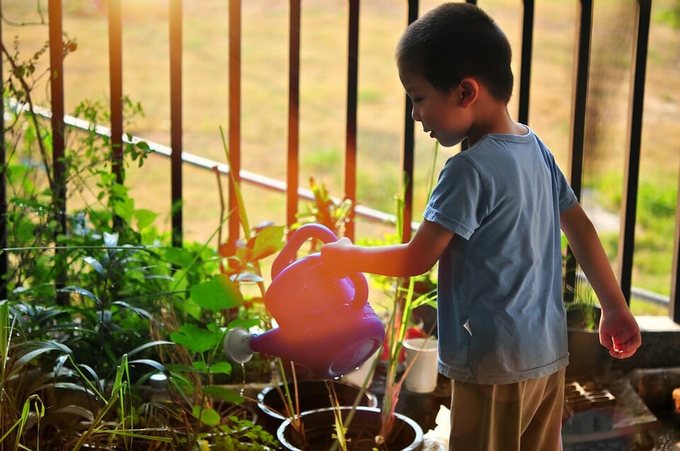 Boy watering plants to take care of the environment