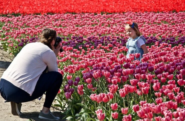 Mom taking a photo of her daughter in a field of flowers