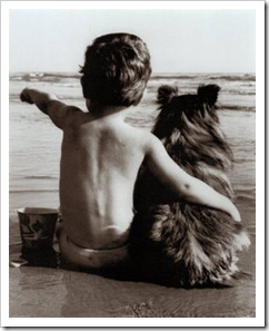 Kid with dog on the beach