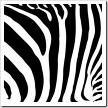 Black and white zebra pattern