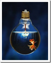 Fish swimming in a lightbulb