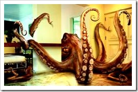 Giant octopus at home