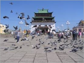 Chinese temple with pigeons