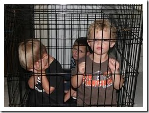 Kids in a cage