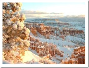 Bryce Canyon in snow
