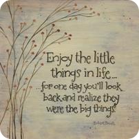 Enjoy the little things in life, for one day you'll look back and realize they were the big things