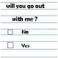 Yes/No Question: will you go out with me?