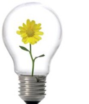 Lightbul with flower inside