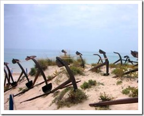 Anchors on a beach