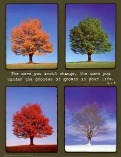 Tree in 4 seasons
