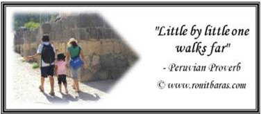 Little by little one walks far. Peruvian Proverb