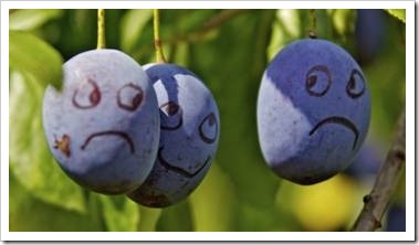 Smiley faces made of grapes