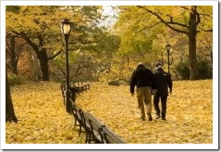 Couple walking along a leaf strewn park in Autumn