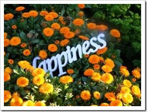 Happiness in flowers - flowers can make you happy without money