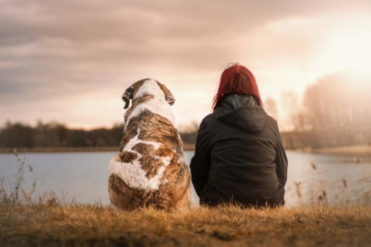 Woman sitting by a lake with large dog