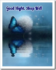 Butterfly over calm water: Good night. Sleep well