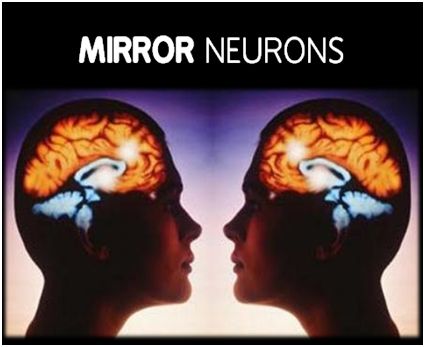 Mirror neurons