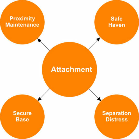 Characteristics of Attachment Theory