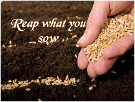 Reap what you sow