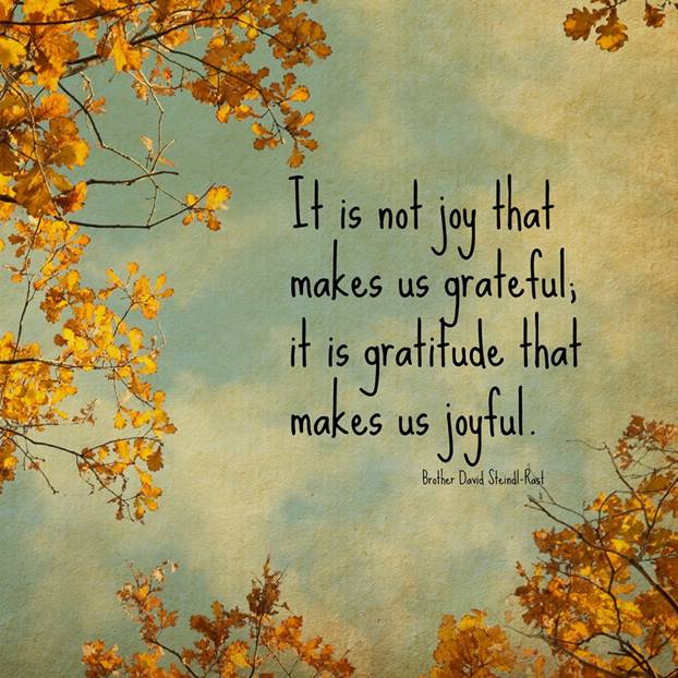 It is not joy that makes us grateful. It is gratitude that makes us joyful - Brother David Steindl-Rast