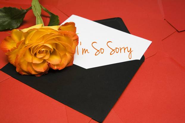 A rose and a card saying I'm so sorry