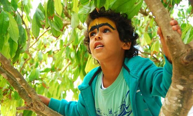 Boy in tree with Batman symbol on his forehead