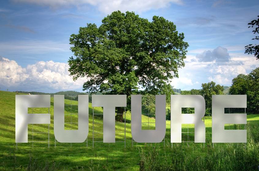 The word Future in front of a tree in a green gully