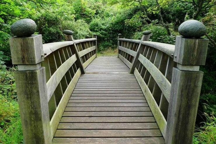 A bridge over a creek