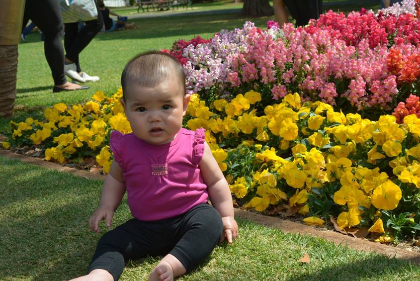 Baby girl sitting in front of a bed of flowers