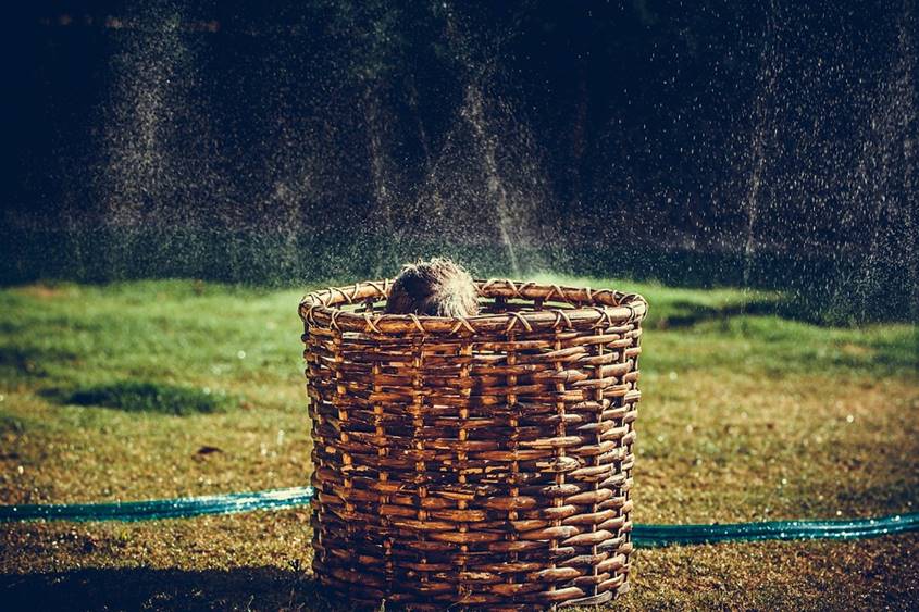 Child hiding in a large basked