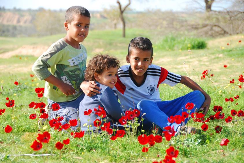 3 young brothers in a field of flowers