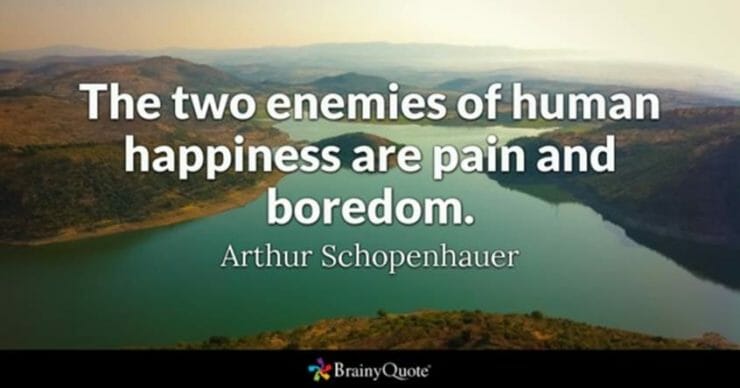 The two enemies of human happiness are pain and boredom - Arthur Schopenhauer