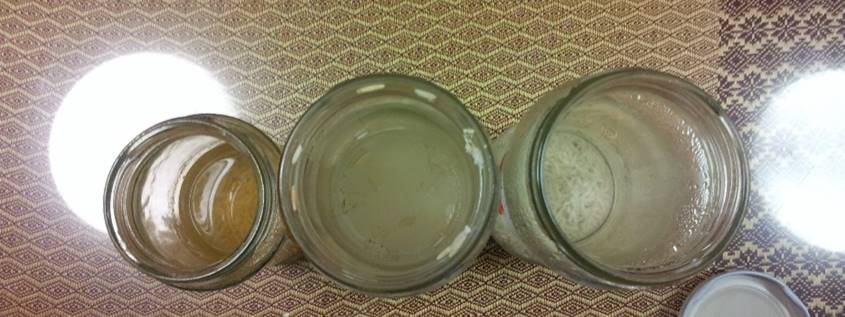 Rice experiment: 3 jars of rice