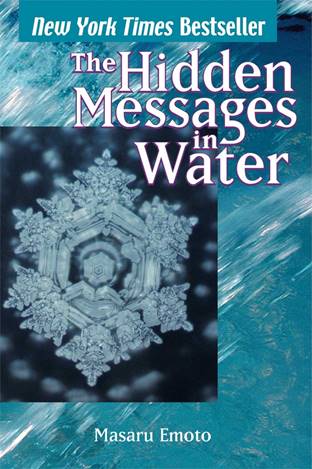 The Hidden Message in Water by Masaru Emoto