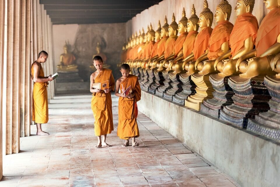 Young Buddhist monks reading